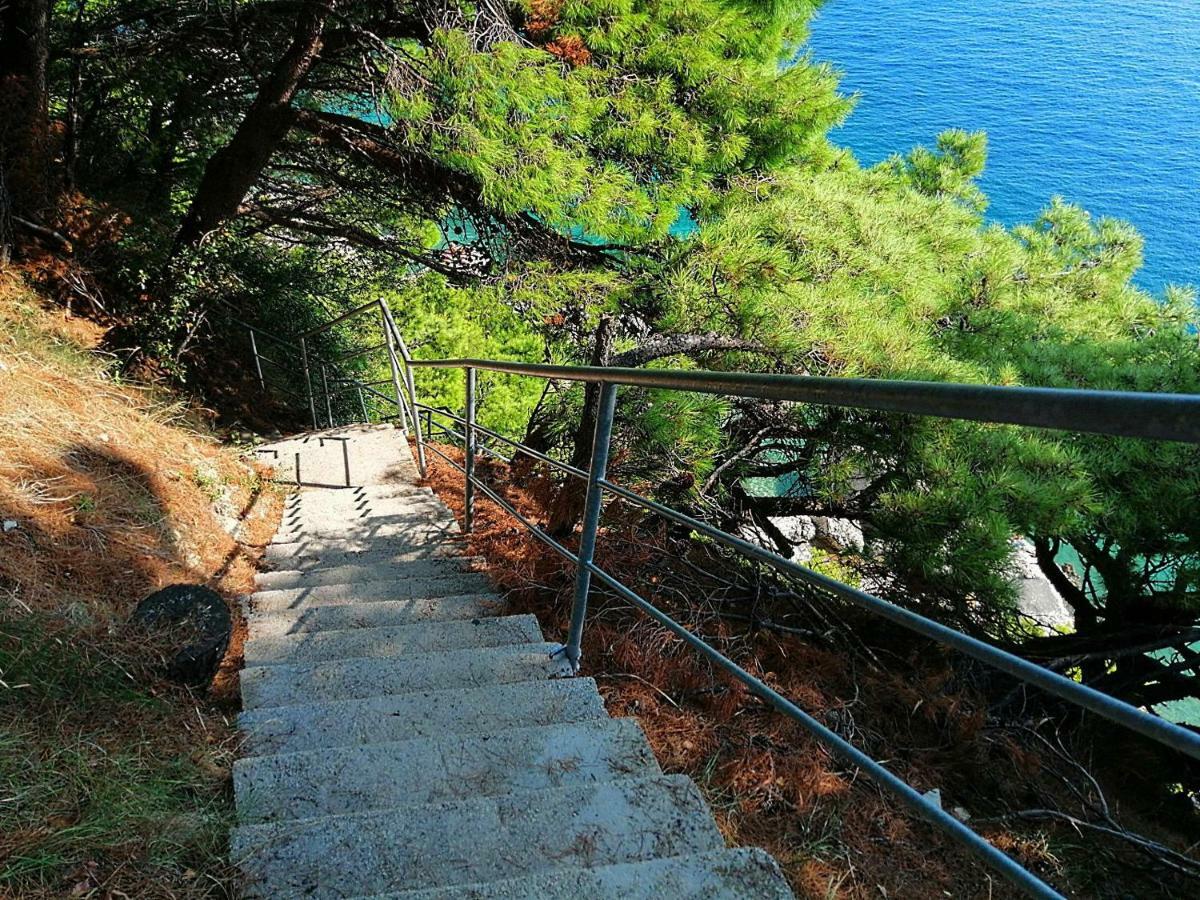 Apartments Villa Jadranka Marusici  Экстерьер фото